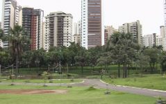 visitas-ao-zoo-de-goiania-caem-apos-morte-de-macaco-com-febre-amarela